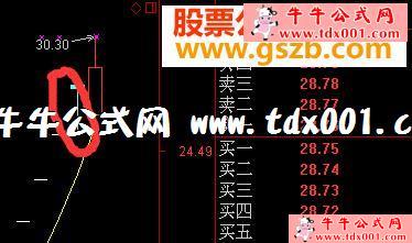 559599005.jpg