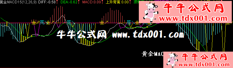 4173029619.gif
